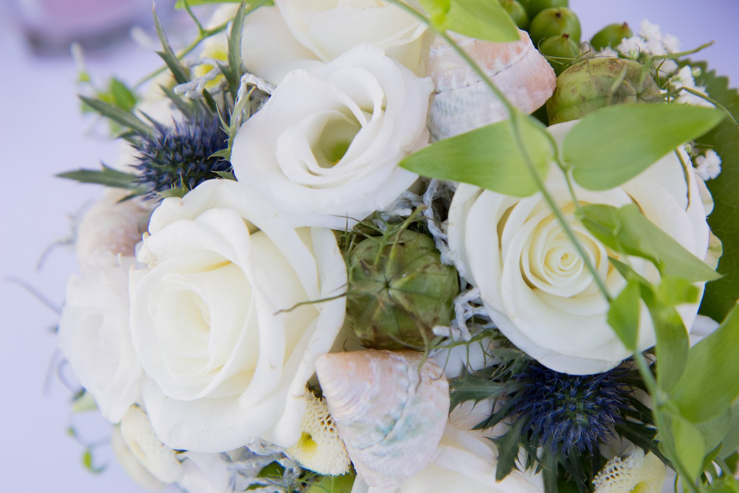 Hochzeit im Seepark Weiden im Burgenland - Freie Trauung